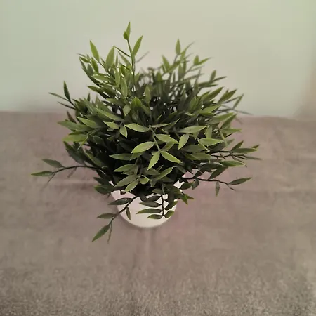 Apartment 3 Bedroom Affordable In With Communal Pool *