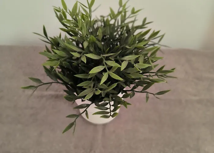 Apartmán 3 Bedroom Affordable In With Communal Pool *